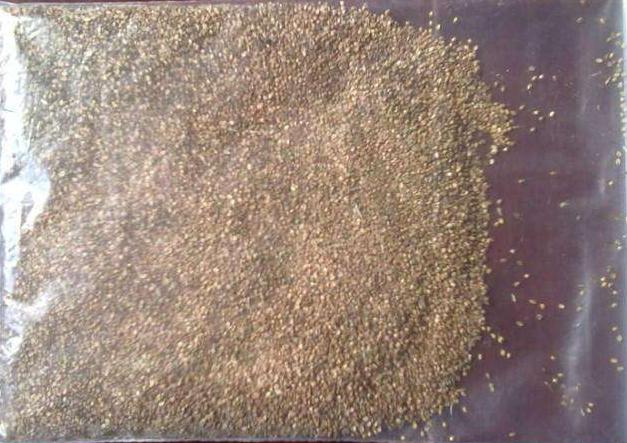 長沙東日?qǐng)@林工程有限公司,長沙園林綠化工程,長沙綠化養(yǎng)護(hù)管理